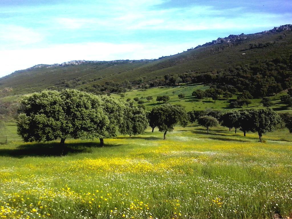 Casa Rural La Sierra De Monfraguee Malpartida De Plasencia Exteriér fotografie